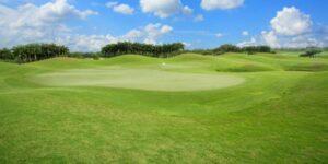 Are Your Expectations too High in Golf
