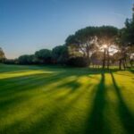 Mental Strategies to Master Your Inner Golf Game