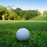 How Scheffler Manages Pressure to Win